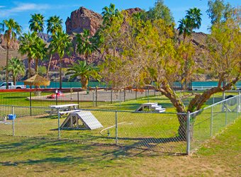 Echo Lodge Resort Dog Park